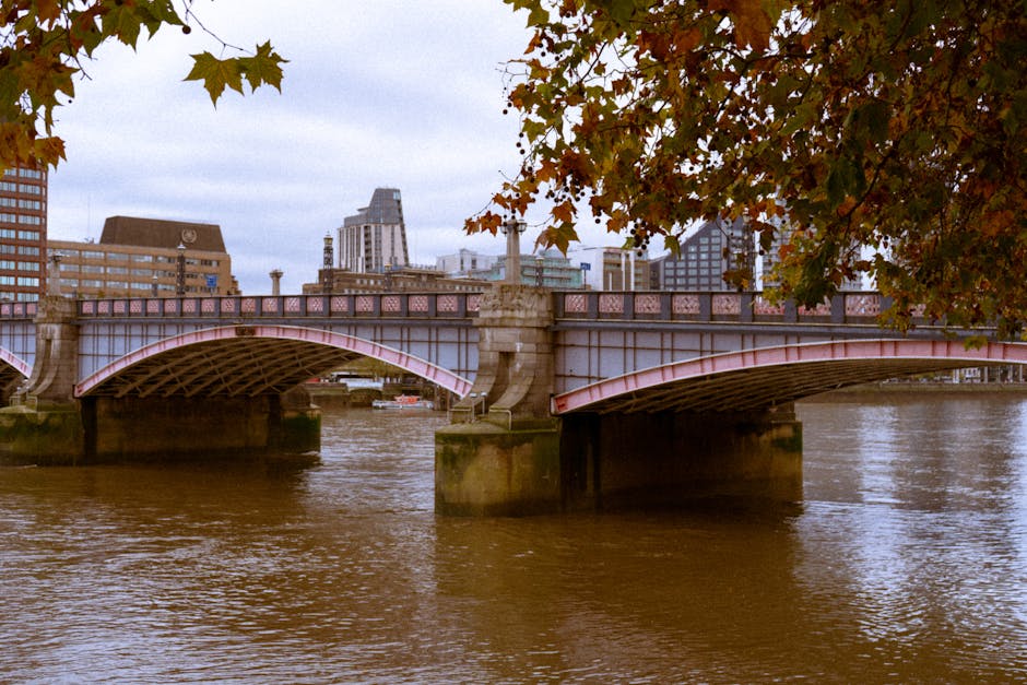 A view of Hammersmith Bridge spanning the Thames River in W6, with the bridge's iron structure painted in pinkish hues, supported by stone pillars emerging from the water. In the background, modern buildings and skyscrapers of the city skyline are visible under an overcast sky. Overhanging tree branches with autumn-colored leaves frame the upper part of the image, adding natural contrast to the urban scene. The river below appears calm with gentle ripples, reflecting parts of the bridge and surroundings. The scene illustrates an outdoor landscape near Hammersmith, capturing its architectural and natural elements without any cleanliness or surface details, as the focus is on the bridge and cityscape. Hammersmith Carpet Cleaning provides professional cleaning services, but this image does not depict any cleaning equipment or surfaces.