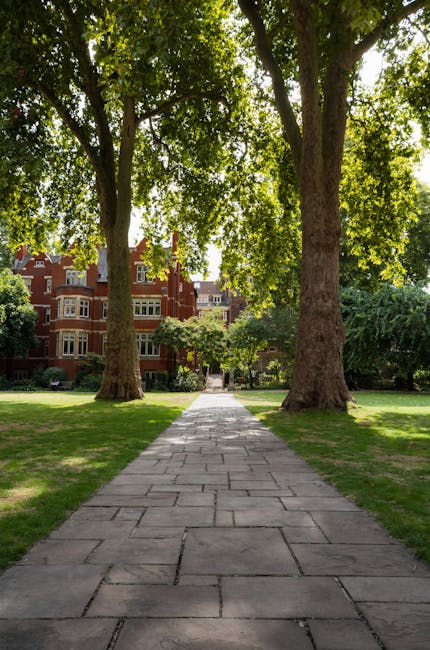 A paved stone pathway flanked by well-maintained green lawns beneath large deciduous trees with lush foliage. In the background, there are red brick residential buildings with multiple windows. The scene is illuminated by natural daylight, highlighting the cleanliness and neatness of the outdoor space. The image conveys a sense of outdoor maintenance and care, consistent with the professional cleaning services offered by Hammersmith Carpet Cleaning, as referenced on the Ravenscourt Park carpet cleaning insider tips page.